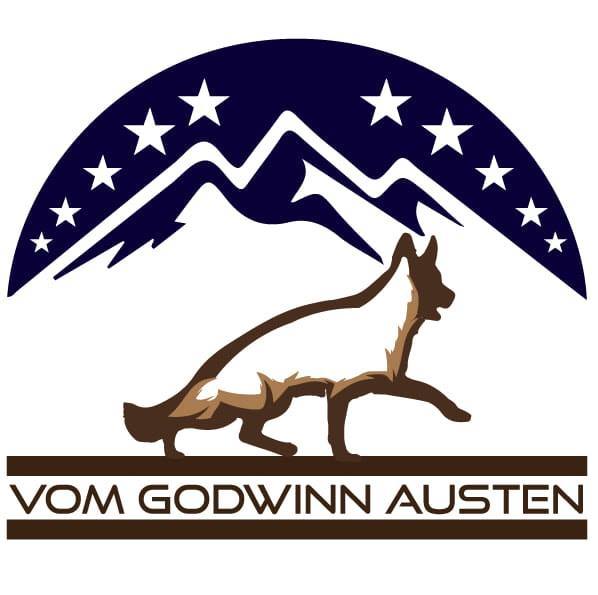 Picture of Godwinn Austen 