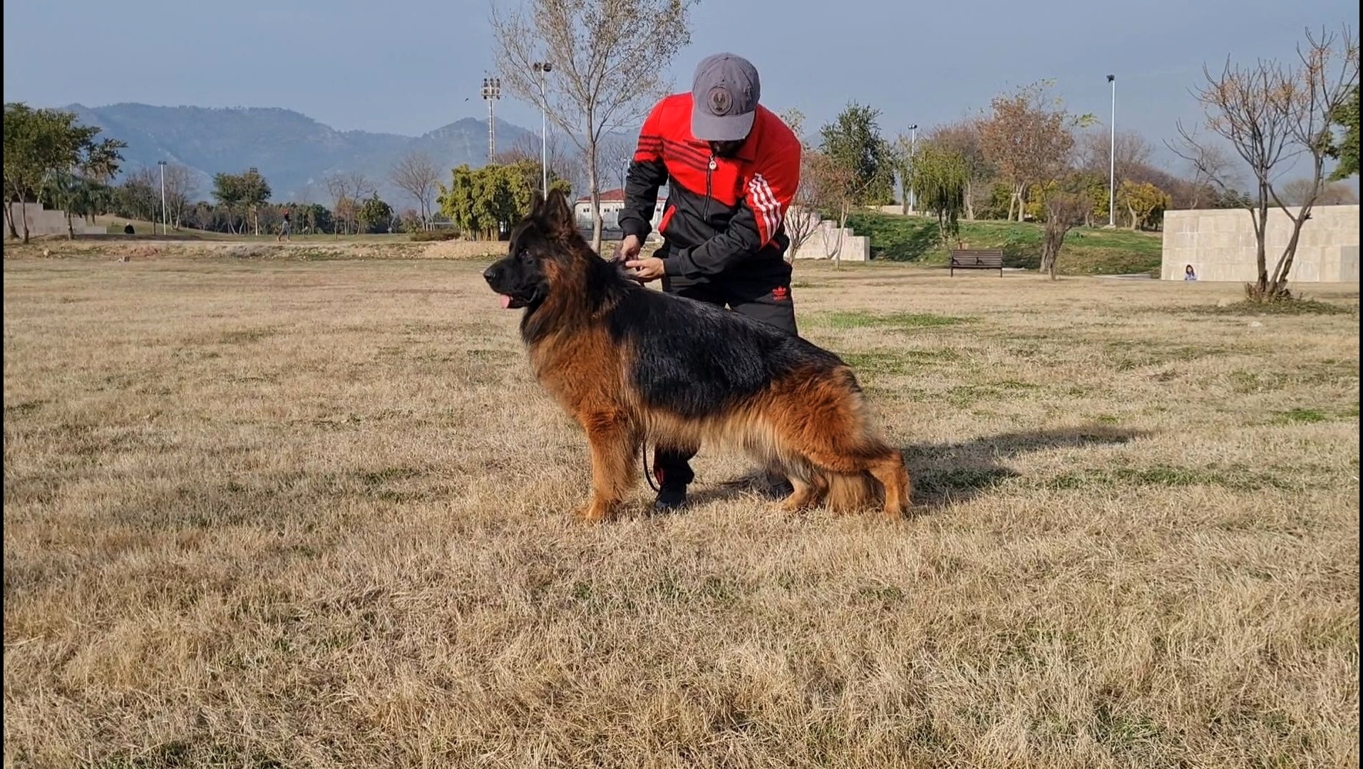  Balto von HKS