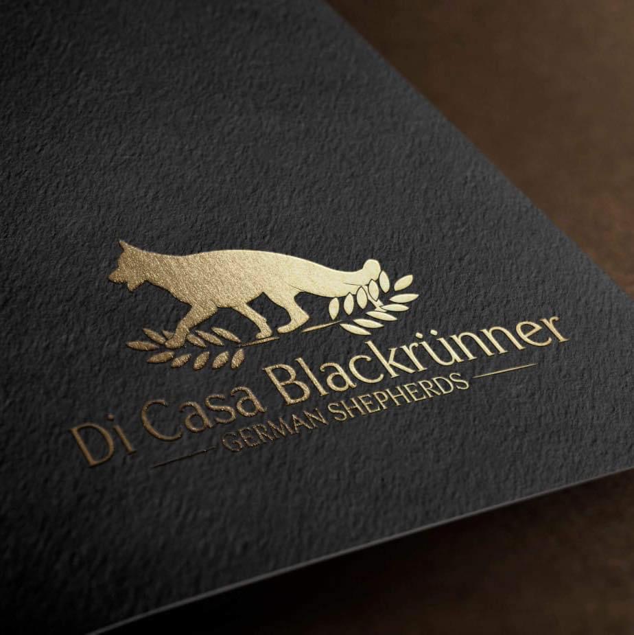 Picture of di Casa Blackrunner 