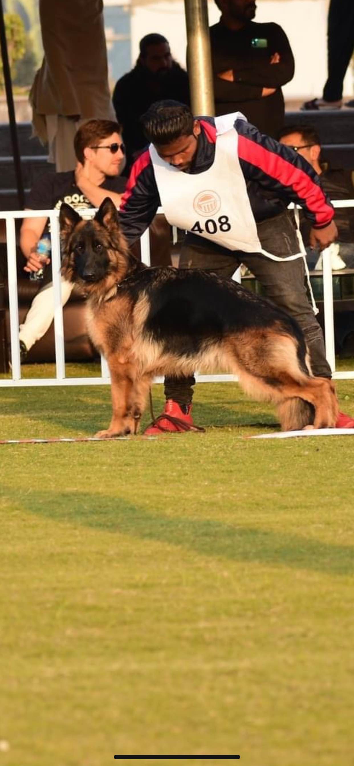 Image not found