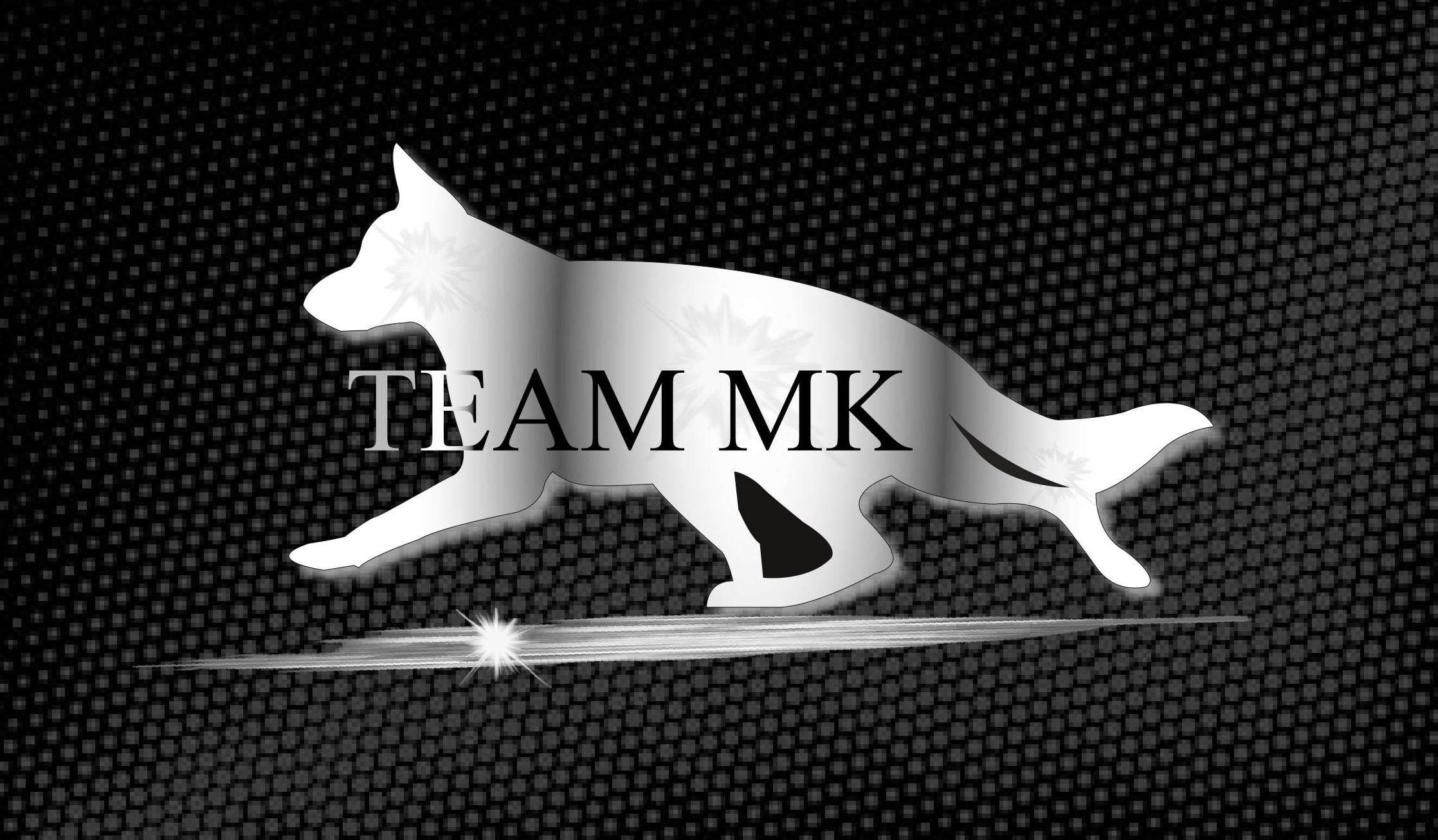 Picture of Team MK 