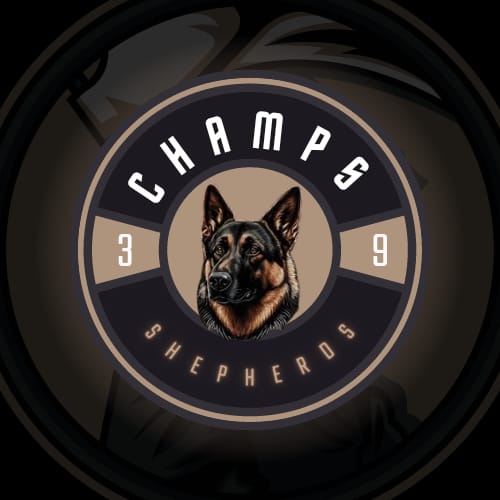 Picture of Champs 39 