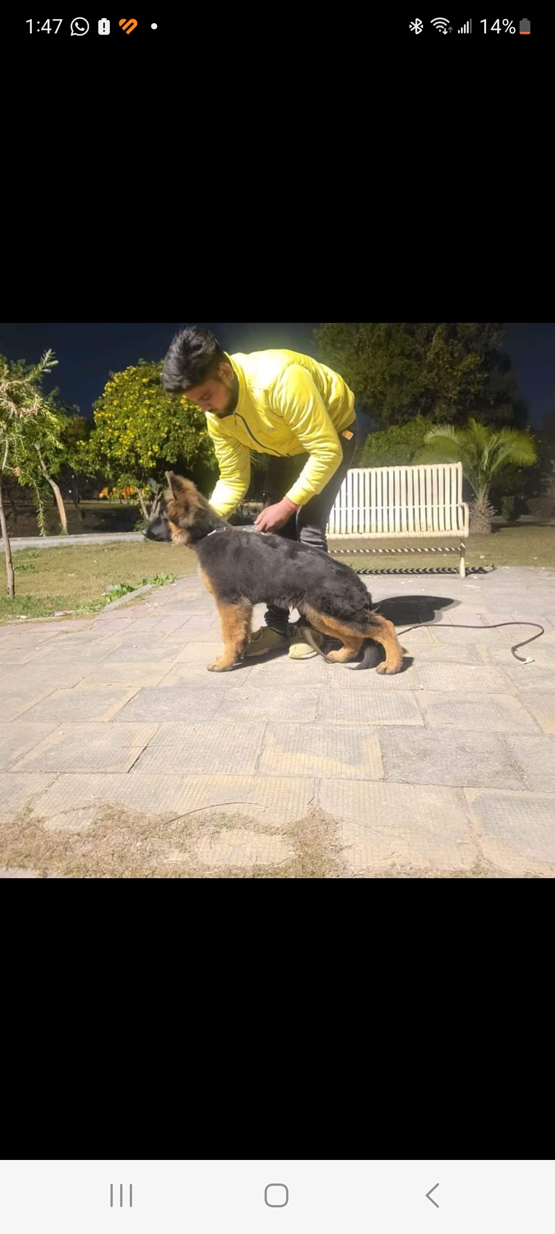 public/dog_images/14656/1705746513.Screenshot_20240120_134730_Facebook.jpg