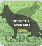 public/dog_images/14826/1707642308.No Picture available.jpg