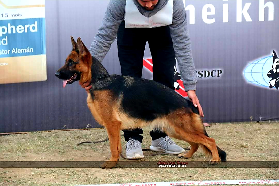 Image not found