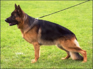 Kronos von Bad-Boll