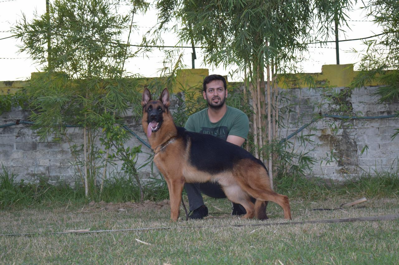 Badboy di Casa Blackrunner