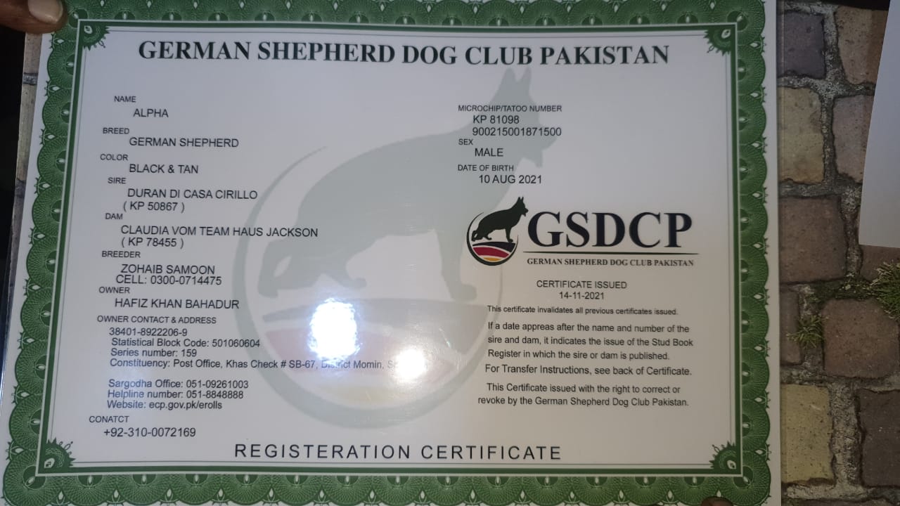 Fraudulent Dog Registration Certificate