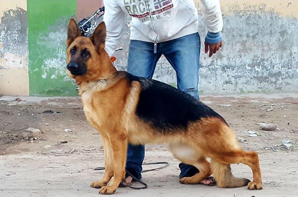 Image not found