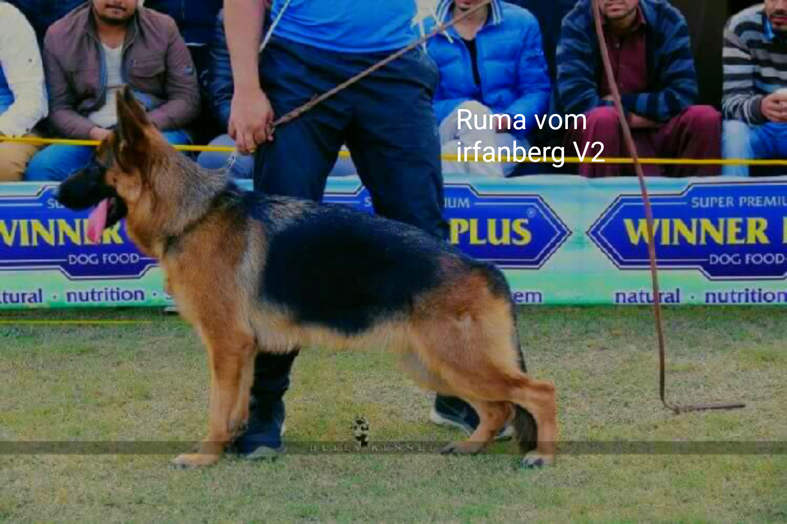 Image not found